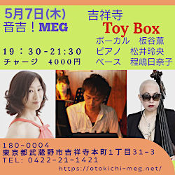 板谷薫「Toy Box」